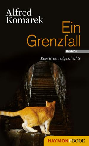 Cover of the book Ein Grenzfall by Herbert Dutzler