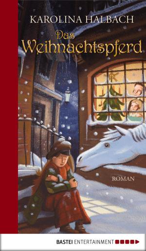 Book cover of Das Weihnachtspferd