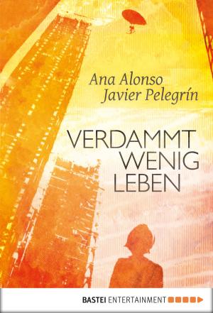 Book cover of Verdammt wenig Leben