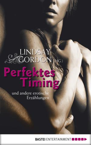 Cover of the book Perfektes Timing by Susanne Picard