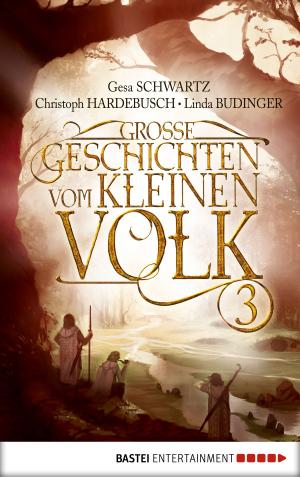 Cover of the book Große Geschichten vom kleinen Volk - Band 3 by Liz Klessinger