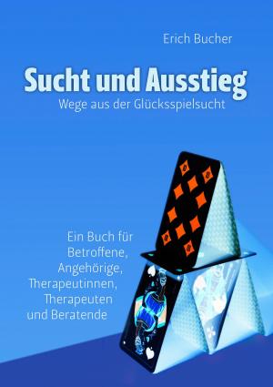 Cover of the book Sucht und Ausstieg by Gerald Ullrich, Ingrid Bobis, Burkhard Bewig