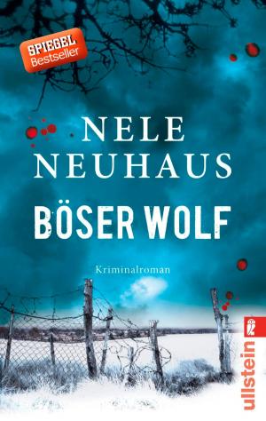 Book cover of Böser Wolf