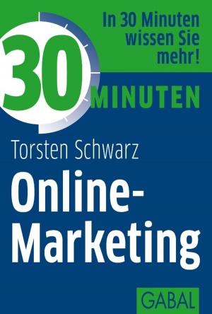 Book cover of 30 Minuten Online-Marketing