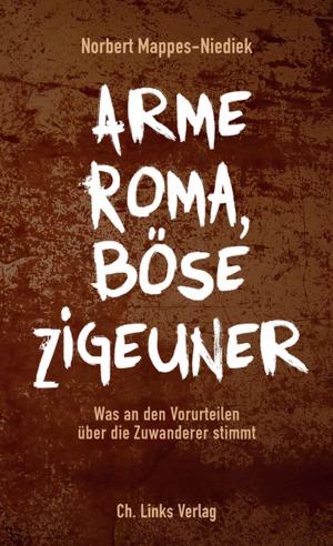 Cover of Arme Roma, böse Zigeuner
