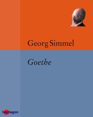 Cover of the book Goethe by Herbert Spencer