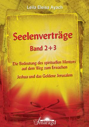 Book cover of Seelenverträge Band 2 + 3
