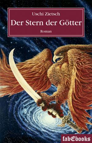 Book cover of Die Chroniken von Waldsee - Prequel: Der Stern der Götter