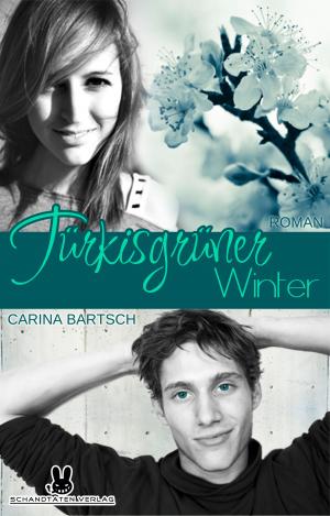 Book cover of Türkisgrüner Winter