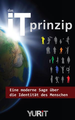 Cover of the book Das iT Prinzip by Mantak Chia, Aisha Sieburth