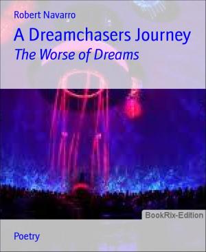 Cover of the book A Dreamchasers Journey by Luise Hakasi