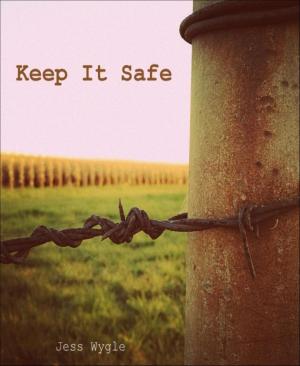 Book cover of Keep It Safe