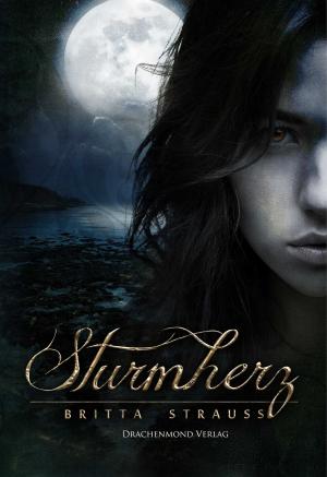 Cover of the book Sturmherz by Alexander Kopainski