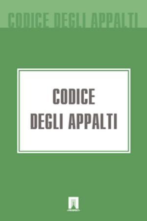 Cover of the book Codice degli appalti by Deutschland