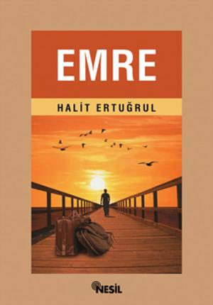 Cover of the book Emre by Cemil Tokpınar