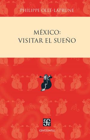 Cover of the book México by Claudia Hernández del Valle-Arizpe