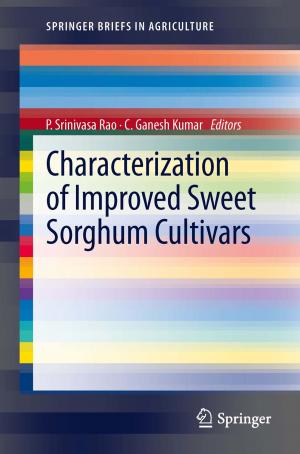Cover of the book Characterization of Improved Sweet Sorghum Cultivars by 