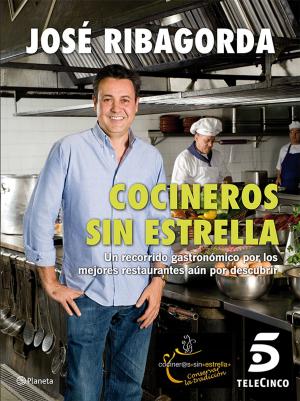 Cover of the book Cocineros sin estrella by Megan Maxwell