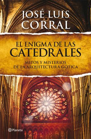 Cover of the book El enigma de las catedrales by Katia Grifols Álvarez