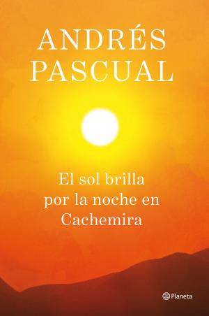 Cover of the book El sol brilla por la noche en Cachemira by Lorenzo Silva