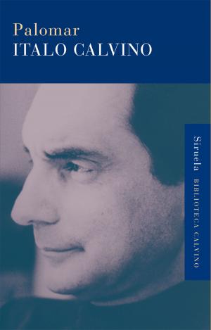Cover of the book Palomar by Italo Calvino, Italo Calvino