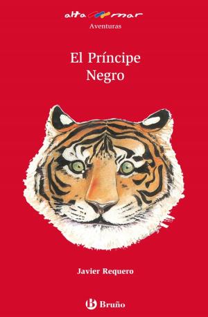 Cover of the book El Príncipe Negro (ebook) by Gerard Van Gemert