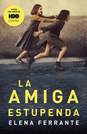 Book cover of La amiga estupenda (Dos amigas 1)