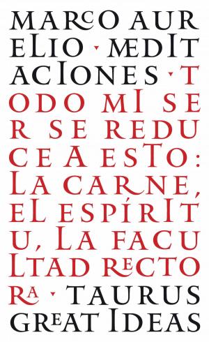 Cover of the book Meditaciones (Serie Great Ideas 12) by Jorge Díaz