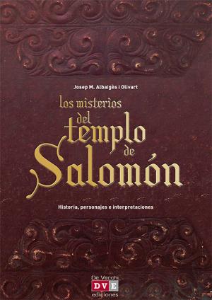Cover of the book Los misterios del templo de Salomón by Mercè Tabuenca Petanàs