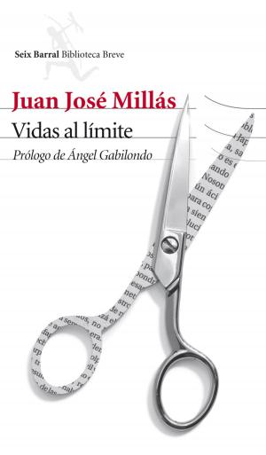 Cover of the book Vidas al límite by Bimba Bosé