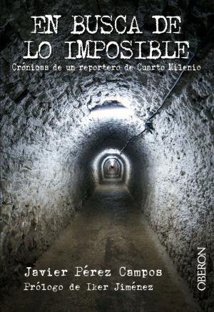Cover of the book En busca de lo imposible. Crónicas de un reportero de Cuarto Milenio by Tristán Elósegui Figueroa, Gemma Muñoz Vera