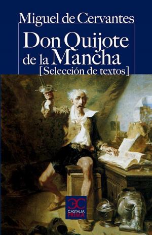 Cover of the book Don Quijote de la Mancha by Anónimo