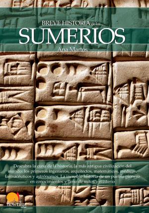 Cover of the book Breve historia de los sumerios by Pilar Pardo Rubio