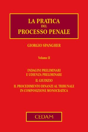Cover of the book La pratica del processo penale. Volume II by Vera Tricarico