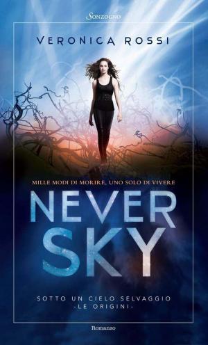 Cover of the book Never Sky by Ahlam Mosteghanemi