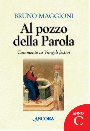 Book cover of Al pozzo della Parola. Anno C