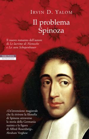 Cover of the book Il problema Spinoza by Olivier Bourdeaut