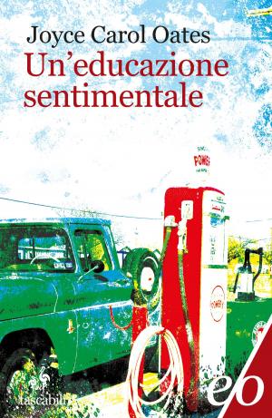 Book cover of Un'educazione sentimentale
