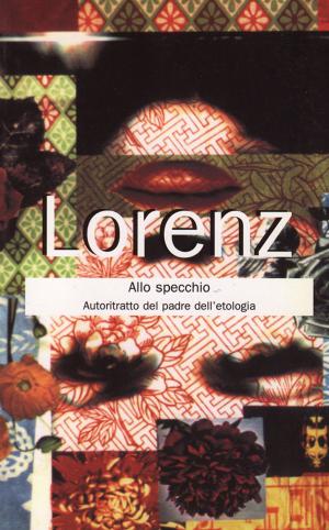 Cover of the book Allo specchio by Francesco Laurenti