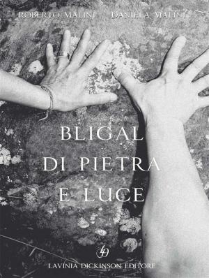 Book cover of Bligal di pietra e luce
