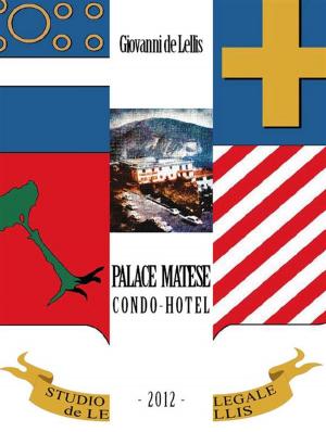 Cover of the book Palace Matese by Maurizio Bonfanti