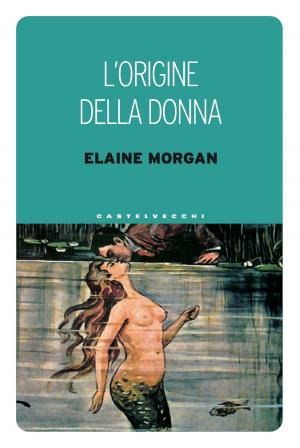 Cover of the book L'origine della donna by Piet Mondrian