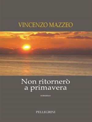 Book cover of Non ritornerò a primavera. Romanzo
