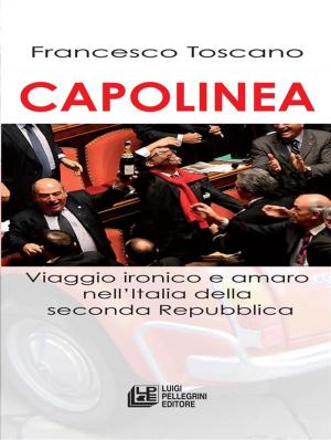 Cover of the book Capolinea. Viaggio ironico e amaro nell'italia della seconda Repubblica by Francesco Caravetta