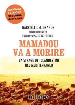 Cover of the book Mamadou va a morire by Kat Duff
