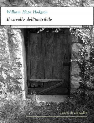bigCover of the book Il cavallo dell'invisibile by 