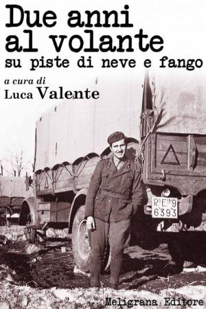 Cover of the book Due anni al volante su piste di neve e fango by Marcello Macrì