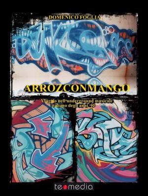 Cover of Arrozconmango. Viaggio nell'underground musicale italiano degli anni novanta