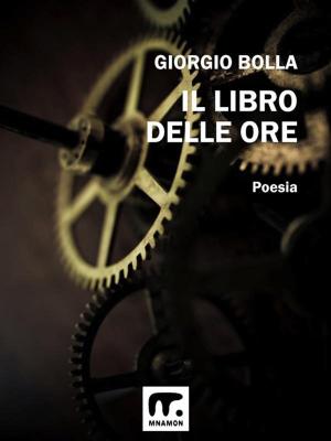 Cover of the book Il libro delle ore by Luca Mion