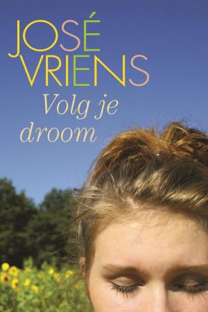 Cover of the book Volg je droom by Leni Saris, Louise d'Anjou